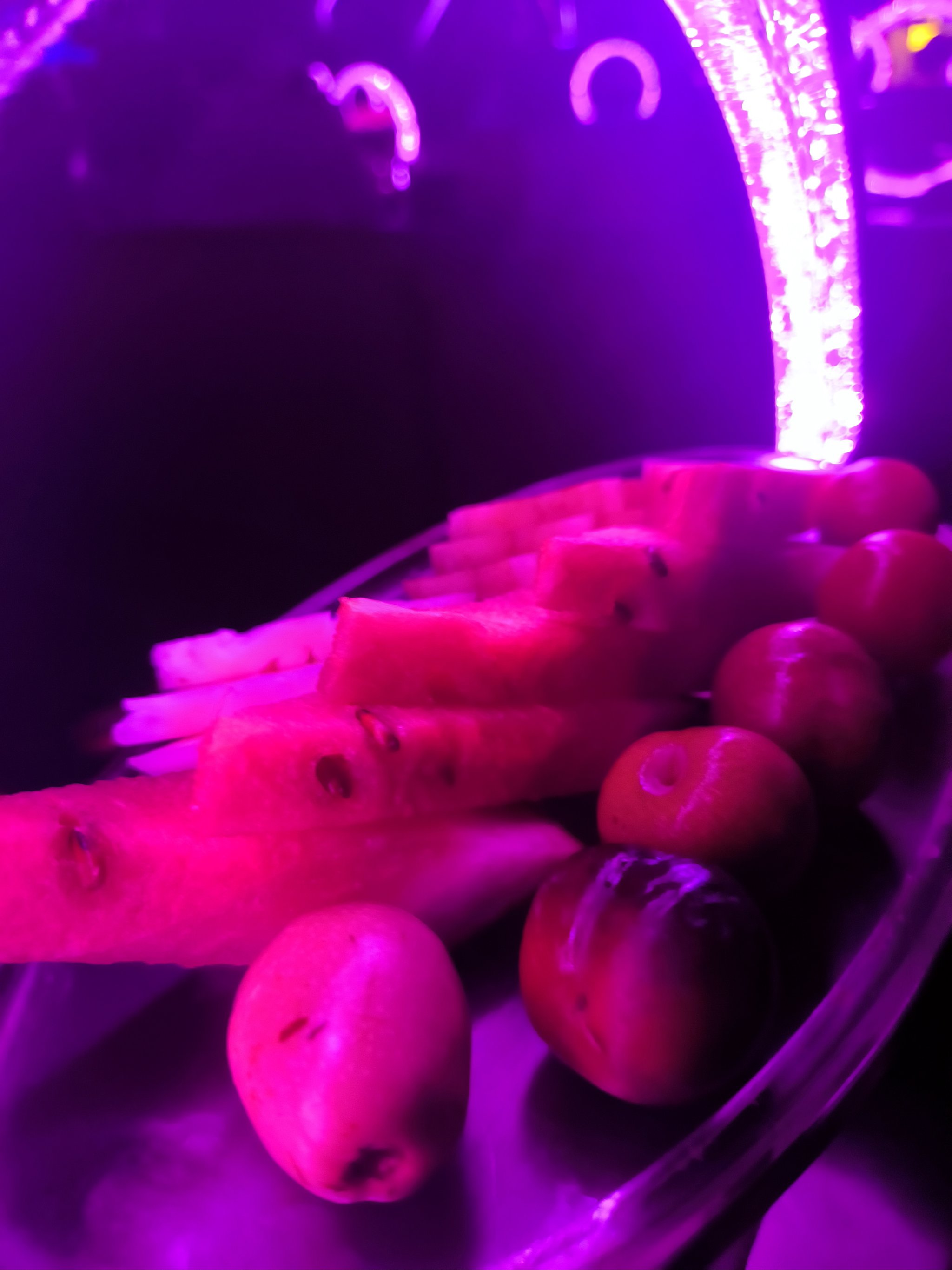 独享商务ktv 在鹤岗-南山区ktv预订